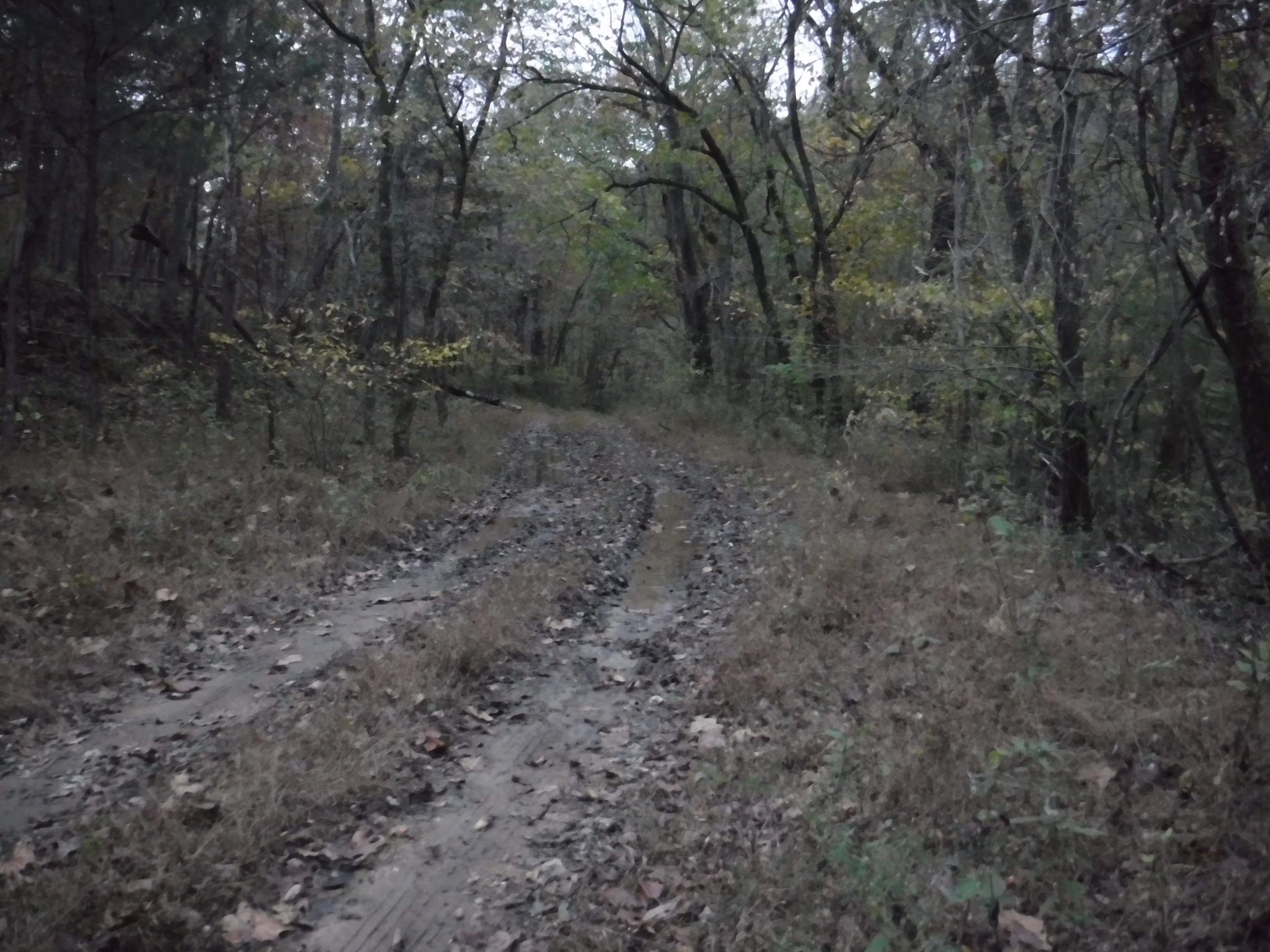 Butterfield Stage Experience 500 Bicycle Route? Not officially (yet