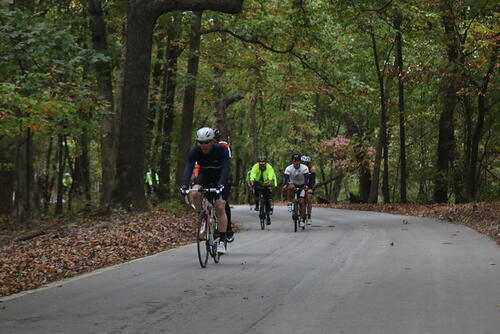 Tour de Wildwood - visit the Rockwood Reservation, Babler State Park, and many other scenic areas in Wildwood