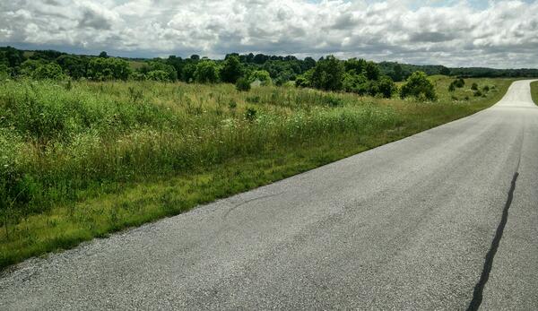 Butterfield Trail near Osa, MO