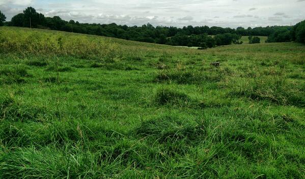 The Butterfield Trail followed this valley southwest of Wire Road Conservation A